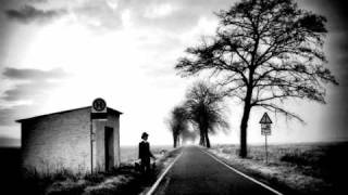 Fernando Ortega Traveler