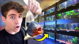 THE ULTIMATE FISH STORE... (what's inside!?)