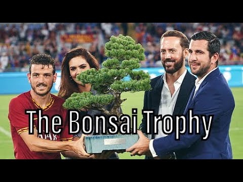 The Bonsai Trophy - The Mabel Green Cup - A Short Documentary.