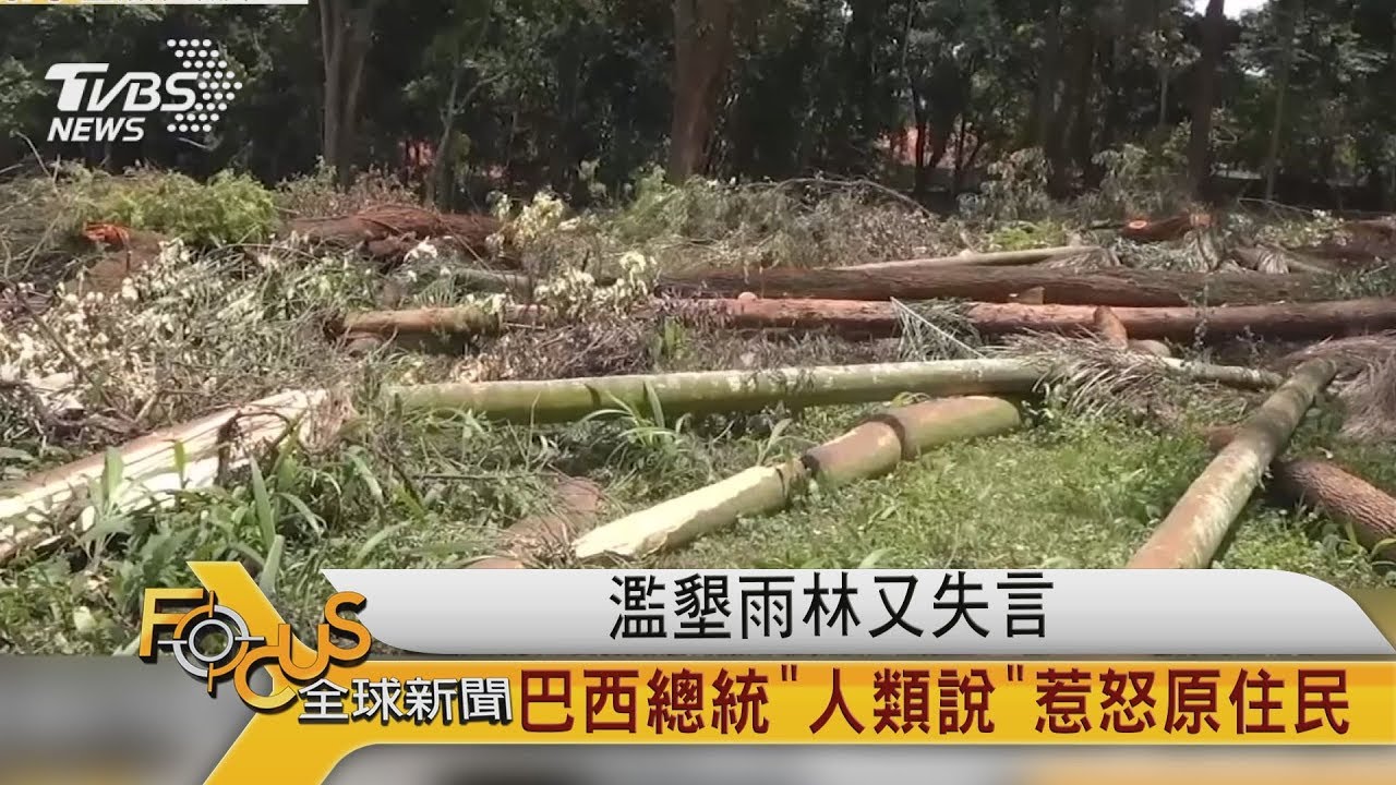 濫墾雨林又失言 巴西總統「人類說」惹怒原住民
