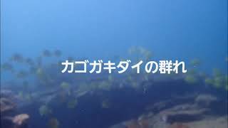 ブルーアース２１熊本