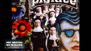 Pigface - Easy Listening For Difficult Fuckheads (2003) full album