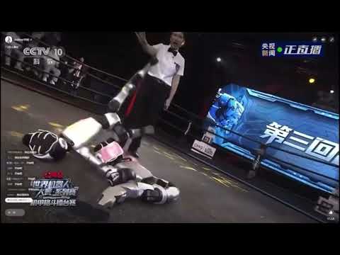 중국 격투기 근황