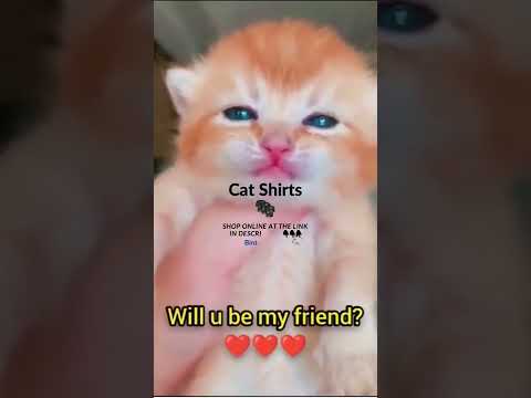 Cat Can Also Smile 🥰 #Shorts