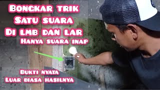 Download lagu cek perkembangan rbw pribadi luar biasa isinya hanya menggunakan suara inap mp3