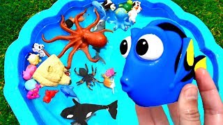 Learn Colors With Wild Ocean Animals in Blue Water Shark Toys For Kids