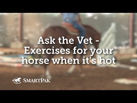 Ask the Vet - Exercises for your horse when it's hot Video