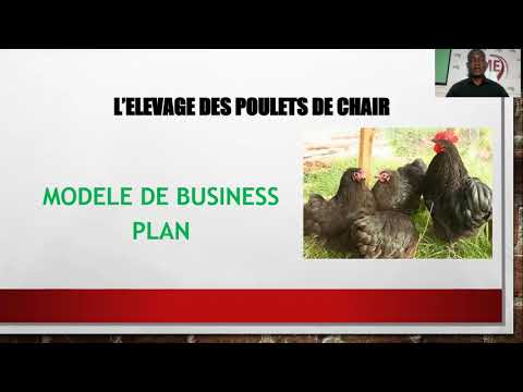 BUSINESS PLAN pour l’Elevage des Poulets de Chair