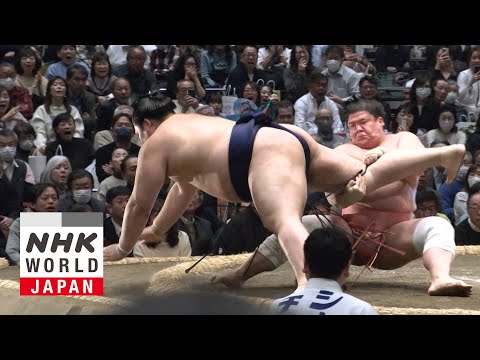 GRAND SUMO: Day 3 of the January 2026 Tournament - GRAND SUMO Highlights