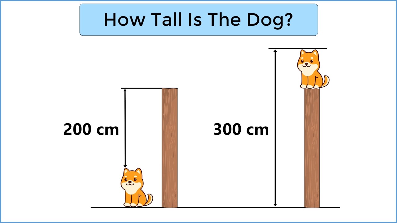 Can You Solve It? How Tall Is The Dog Puzzle