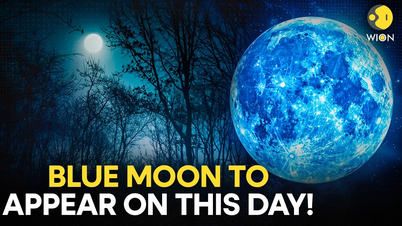 Blue Moon 2026: Rare Blue Moon Expected To Illuminate Night Sky At End Of May | WION Originals