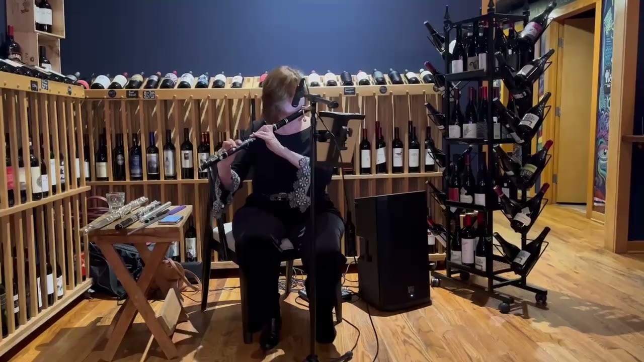 Promotional video thumbnail 4 for Suzanne Williams, Flutist (classical, Irish, jazz)