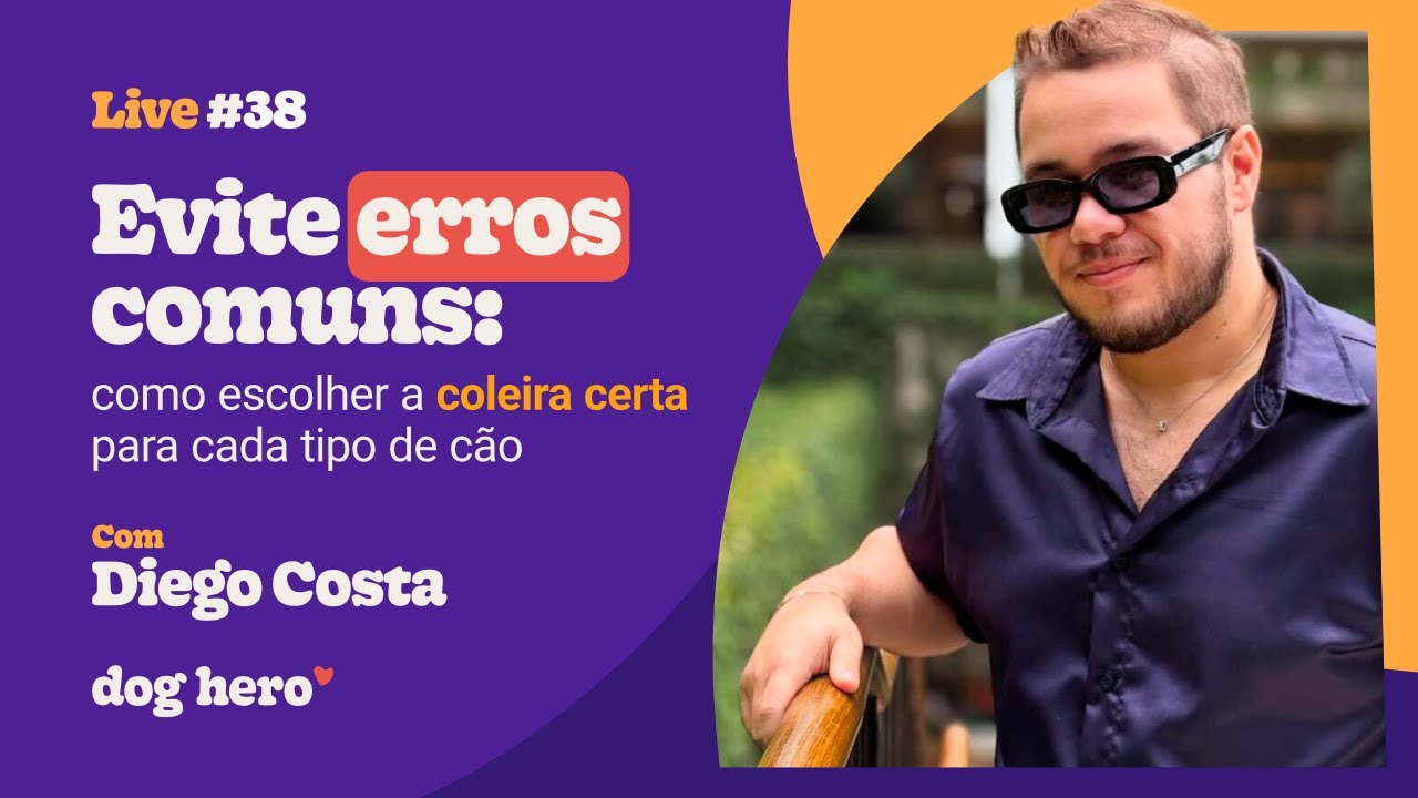 Evite erros comuns: Como escolher a coleira certa para cada tipo de cão