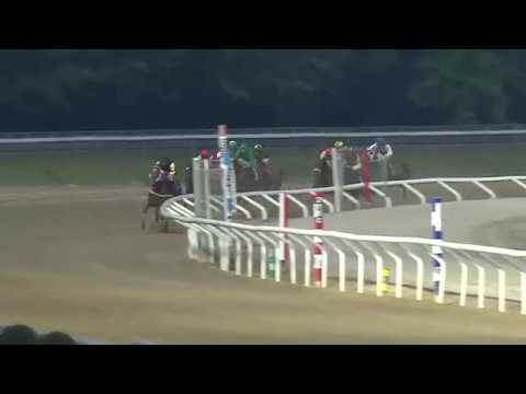 2017.05.23 Jägersro Sprint (SWE) - Spykes Bay