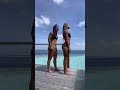 Alisha Lehman Hot