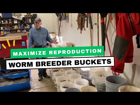 How I Use Worm Breeder Buckets