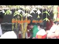 முப்பாட்டன் முருகன் சீமான் தரிசனம்
