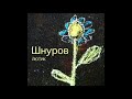 Сергей Шнуров - Водка любовь
