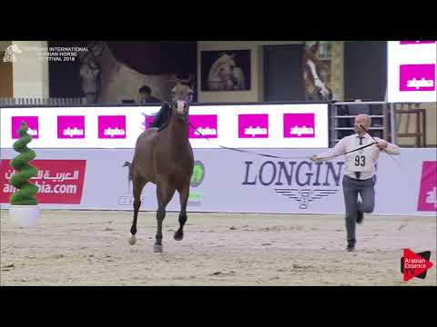 93 MUHJAH AL BIDAYER Sharjah International 2018