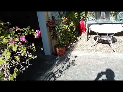 Al ghadeer flowers work in jumaira Dubai..