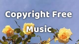Copyright Free Music For YouTube videos | Free Background Music | Royalty Free Song