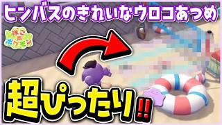 【ぽこポケ】新イベント家具が可愛すぎる！小さな海水浴場を作ってみた｜#23｜Switch2【ぽこ あ ポケモン】 #ぽこポケ