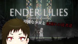 【Vtuber】可憐な少女と血濡れの従者たち #4【2Dアクション】