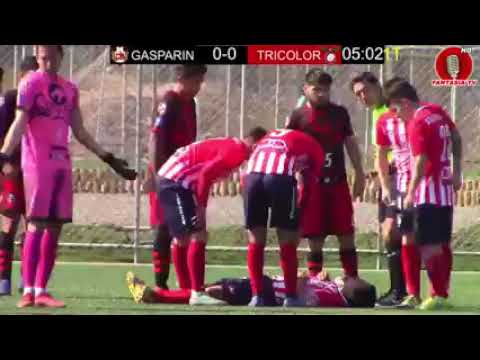 Tricolor de paine  vs gasparin