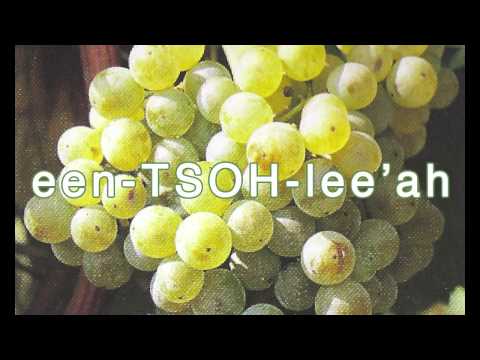 Inzolia as Spoken by Marilena Barbera