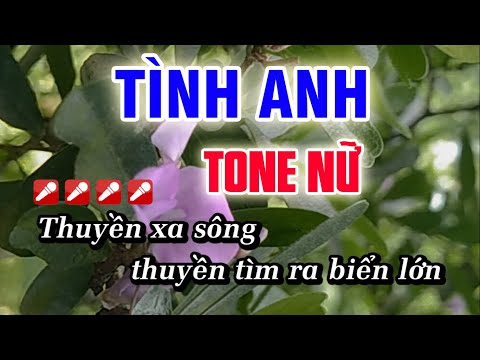 Karaoke Tình Anh - Tone Nữ - Nhạc Sống Huỳnh Như