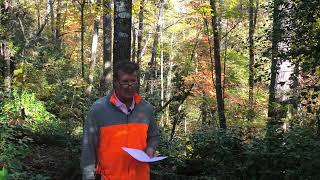 Lake Keowee Real Estate Video Update November 2025 Mike Matt Roach Top Guns Realty