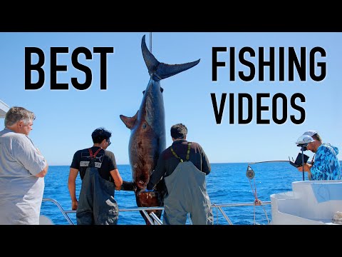 Top 10 Best Fishing Videos from 2025