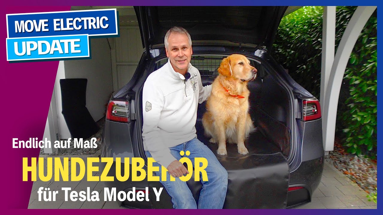 Model Y und Hund - Model Y Allgemeines - TFF Forum - Tesla Fahrer & Freunde