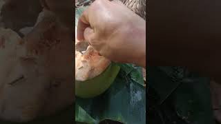 Download lagu Cara bikin Rujak Kelapa muda jos 😀 mp3