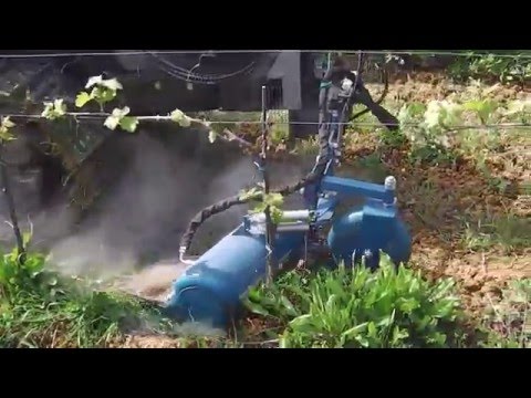 Parassiti in noi un torrente Fare analisi del sangue su parassiti