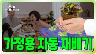 겨울에도 신선한 채소를 먹을수 있는 가정용 자동 채소재배기(ft. 분무경)