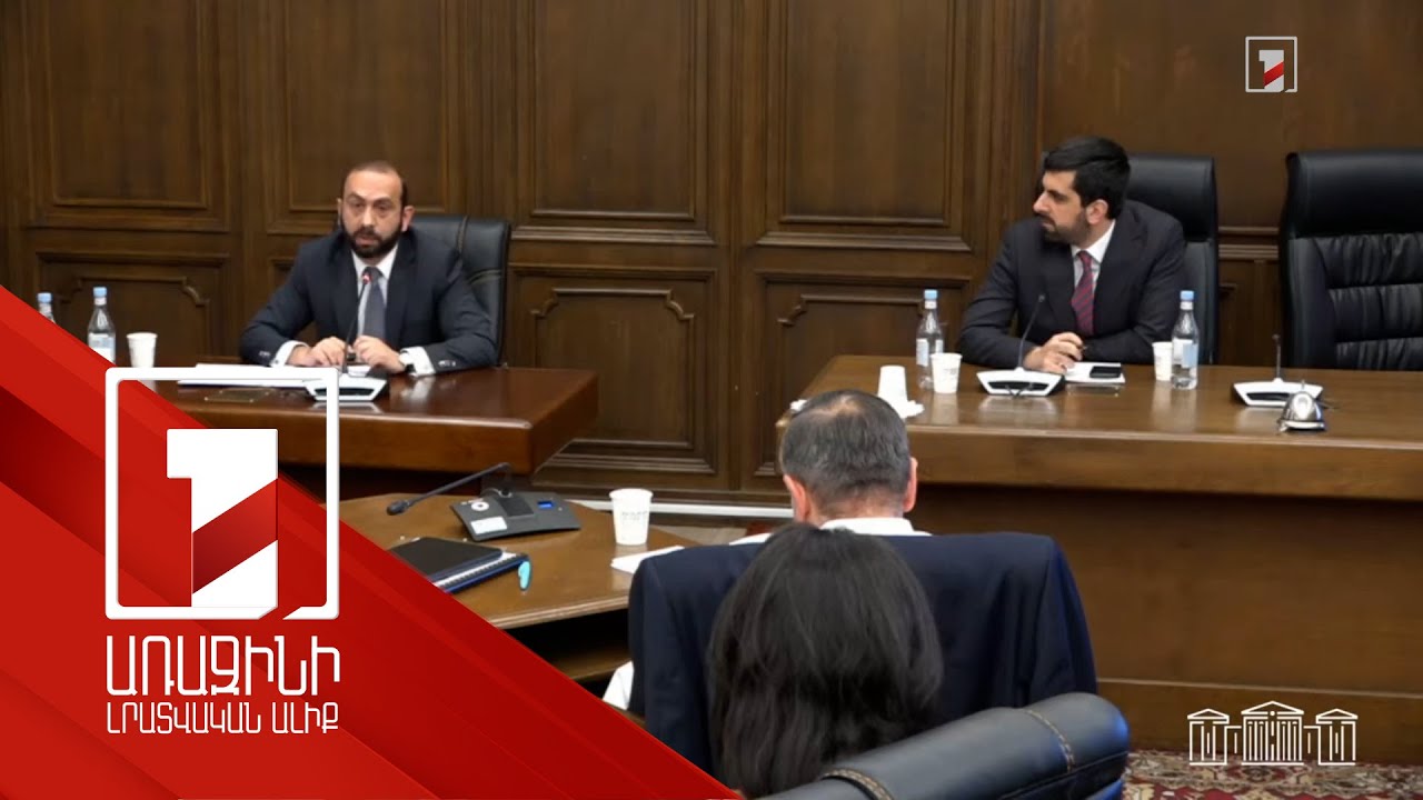 Декларации о признании территорий площадью 29 800 и 86 600 квадратных километров носят политический характер: Мирзоян