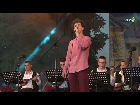 BLUKAL JA UŽ VELJI ROKI -  Pavle MEDJEŠI