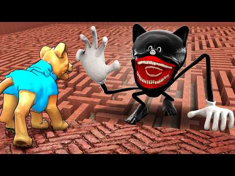 Can SHIN CARTOON CAT find me in a MAZE?! (Garry's Mod Sandbox)