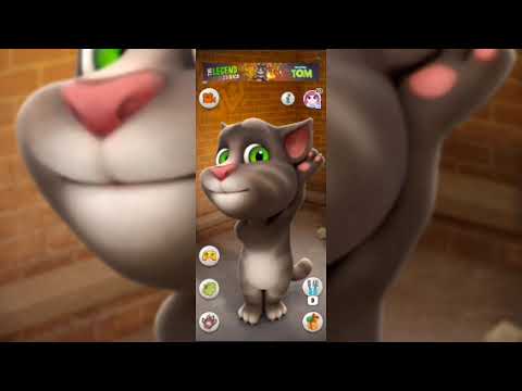 Tom the supermodel -- 2 😂🤣 funny Cat videos