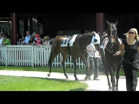 Dorotka - Velká Chuchle 24.6.2012