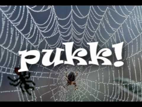 Romhányi József - A pék pókja