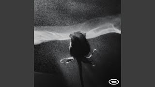 The Manatees - Headspace (2025) video