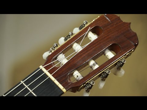 Ognjen Grcak - N. Coste - Grande Serenade op.30