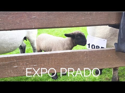 EXPO PRADO 2025, Rural del Prado, Montevideo