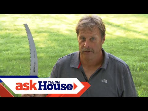 Pruning Trees with the Three Cut Method | Ask Roger | Ask This Old House
