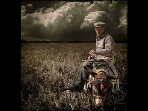 MINIKING "el contadino" AREA94 records