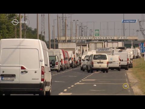 Kékfény – Kofamaffia (2025.06.23.)