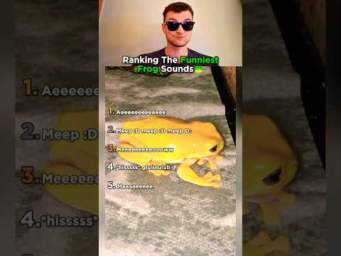 Top 5 Frog Sounds That Made Us Laugh!