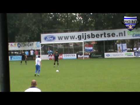 SDVB - SVZW samenvatting